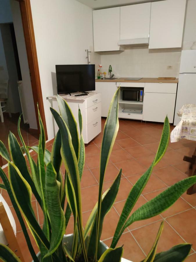 Gemini Appartamenti Grosseto Exterior photo